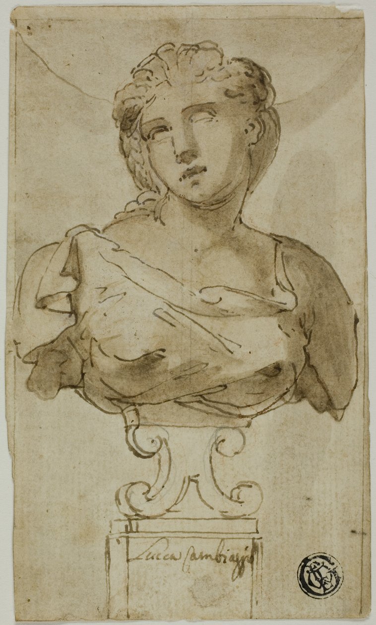 Busto de una mujer de Luca Cambiaso
