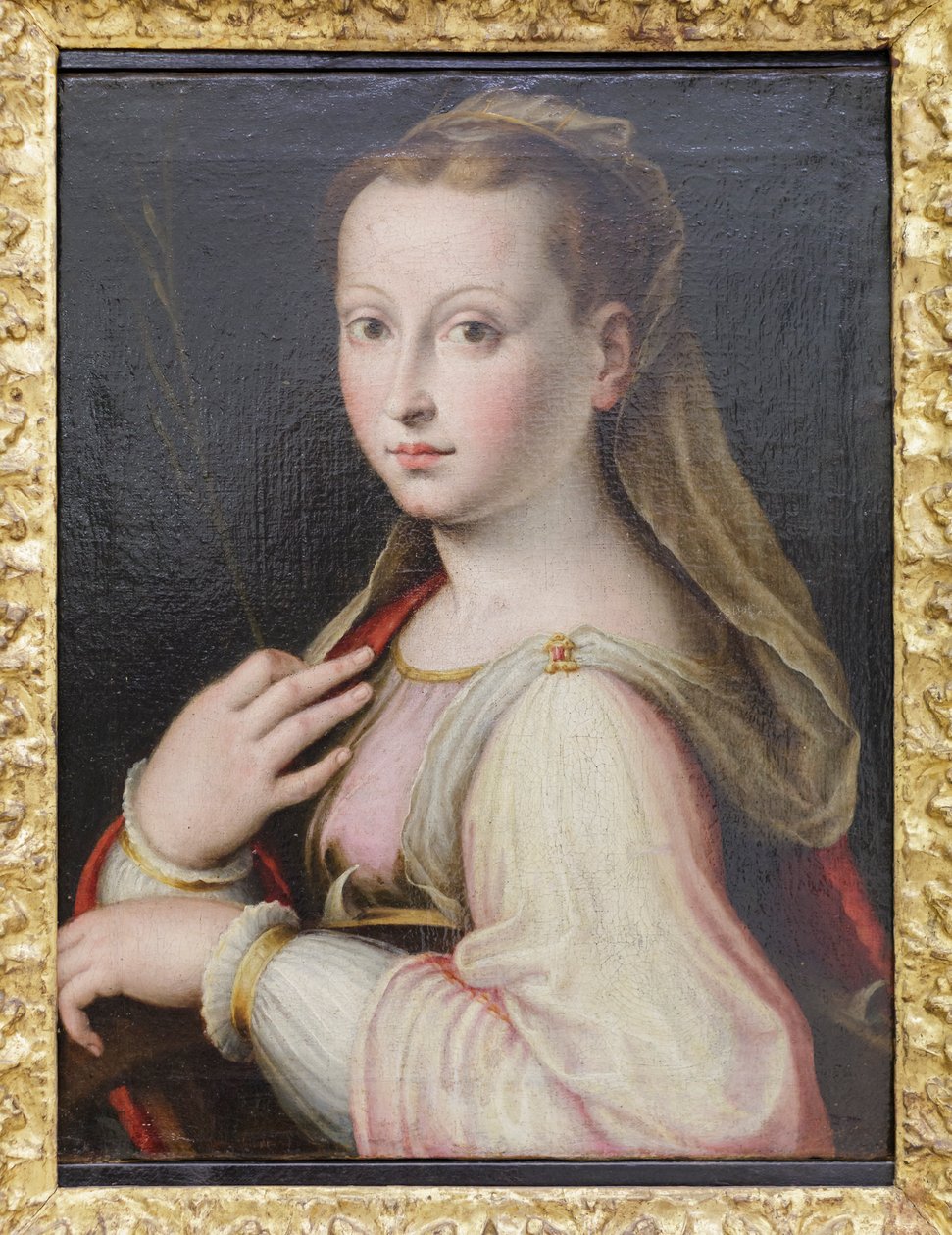 Santa Catalina de Alejandría, Luca Longhi (óleo sobre lienzo) de Luca Longhi