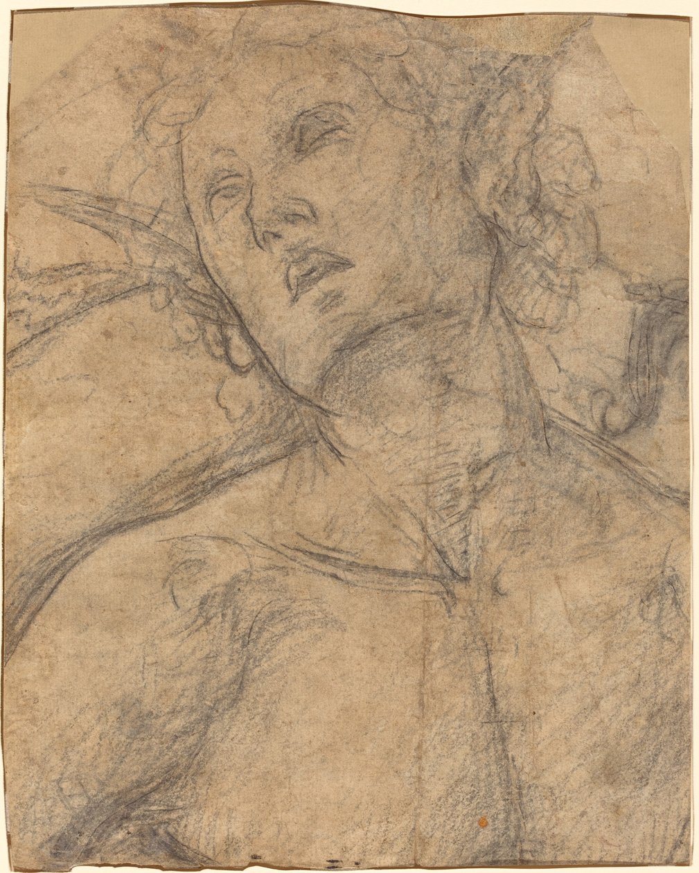 Busto de un joven mirando hacia arriba [recto] de Luca Signorelli