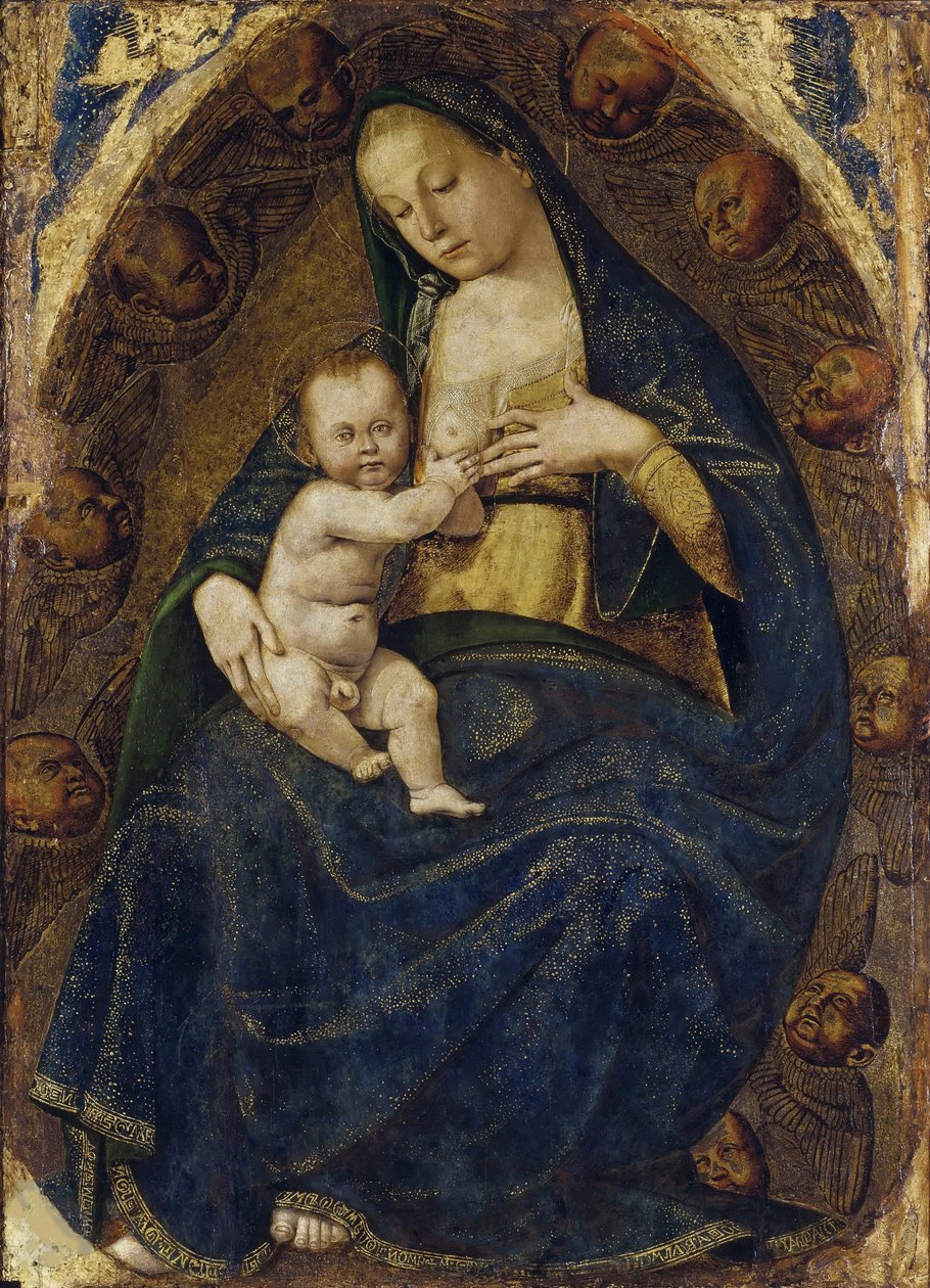Virgen lactante, c. 1482-1485 de Luca Signorelli