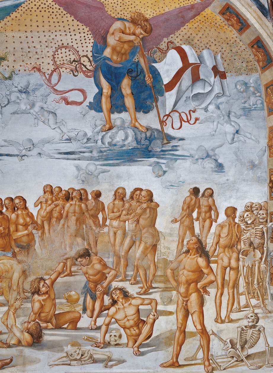Resurrección de la carne
 detalle de Luca Signorelli