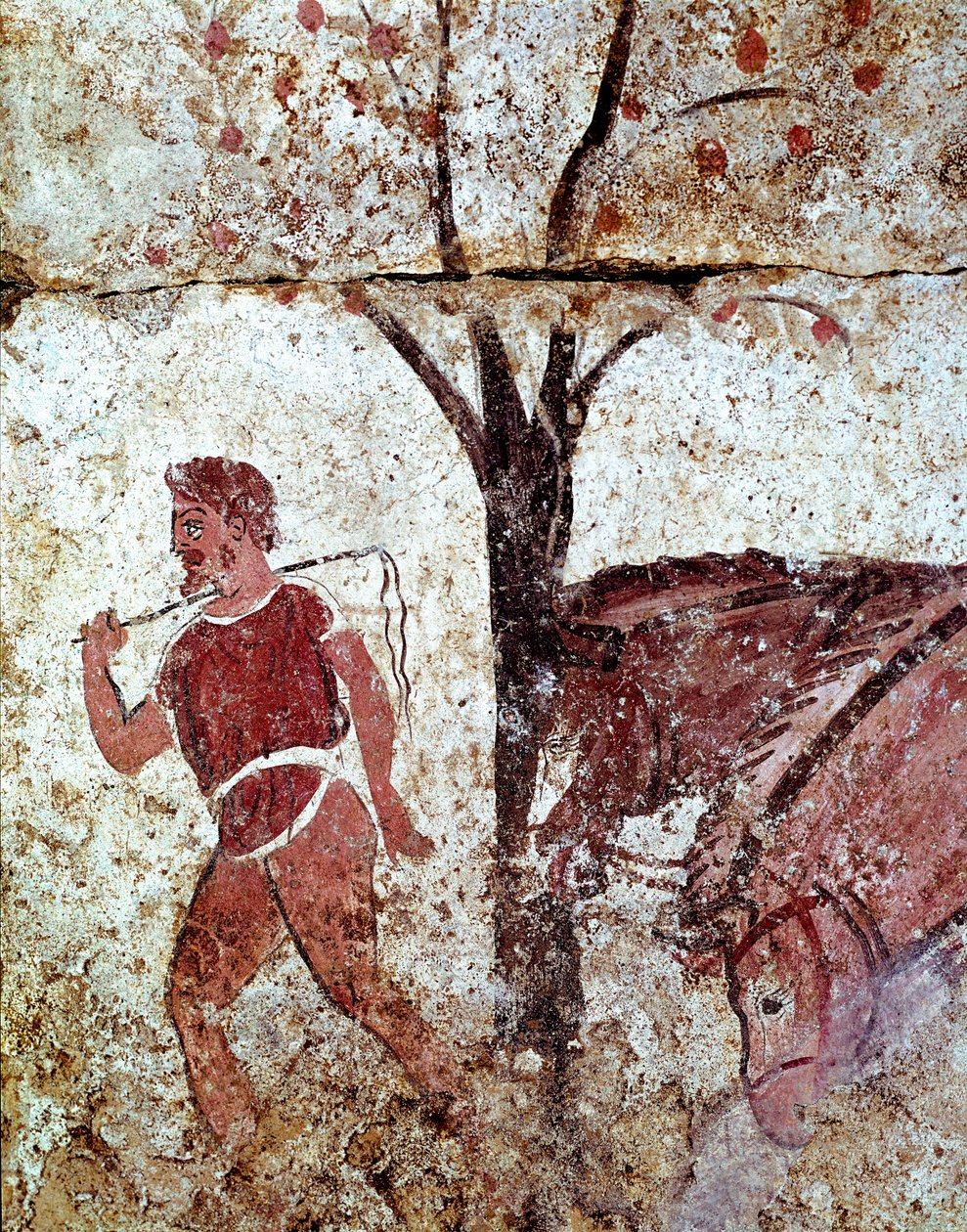 Un campesino tirando de dos caballos. Fresco lucano del siglo IV a.C., de la necrópolis de Paestum, Italia. Museo arqueológico nacional, Paestum de Lucanian School