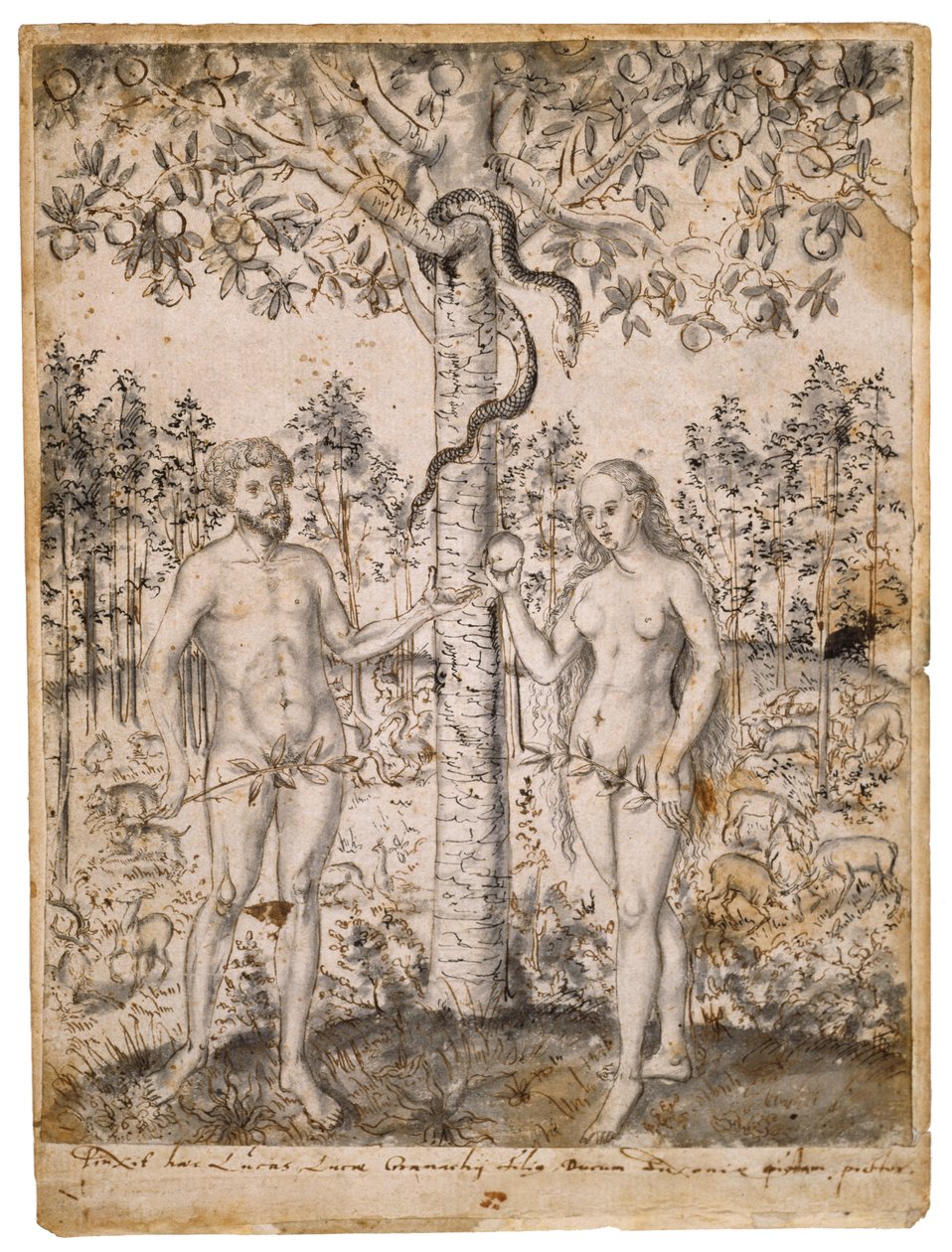 La Caída del Hombre, después de 1549 de Lucas Cranach the Elder