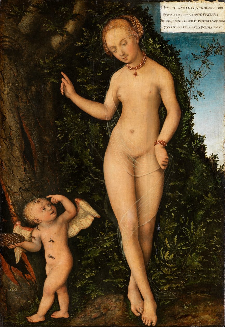 Venus y Cupido, el ladrón de miel de Lucas Cranach the Elder