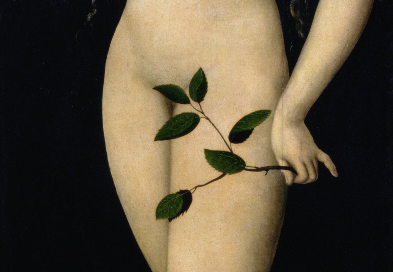 Eva, 1528 (detalle) de Lucas Cranach the Elder