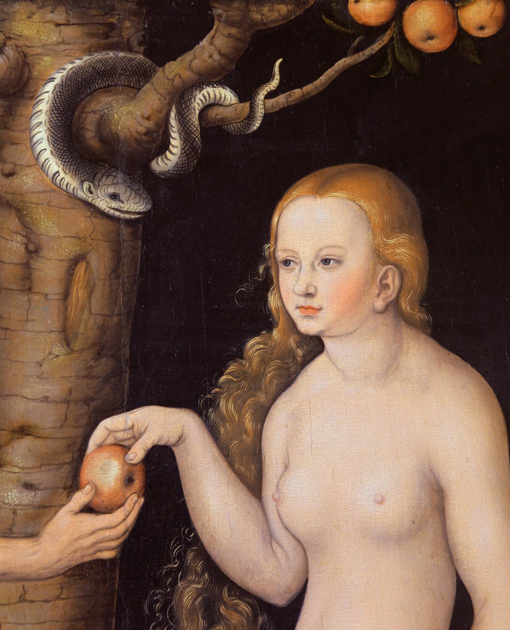 Eva ofreciendo la manzana a Adán en el Jardín del Edén y la serpiente, c.1520-25 (detalle) de Lucas Cranach the Elder