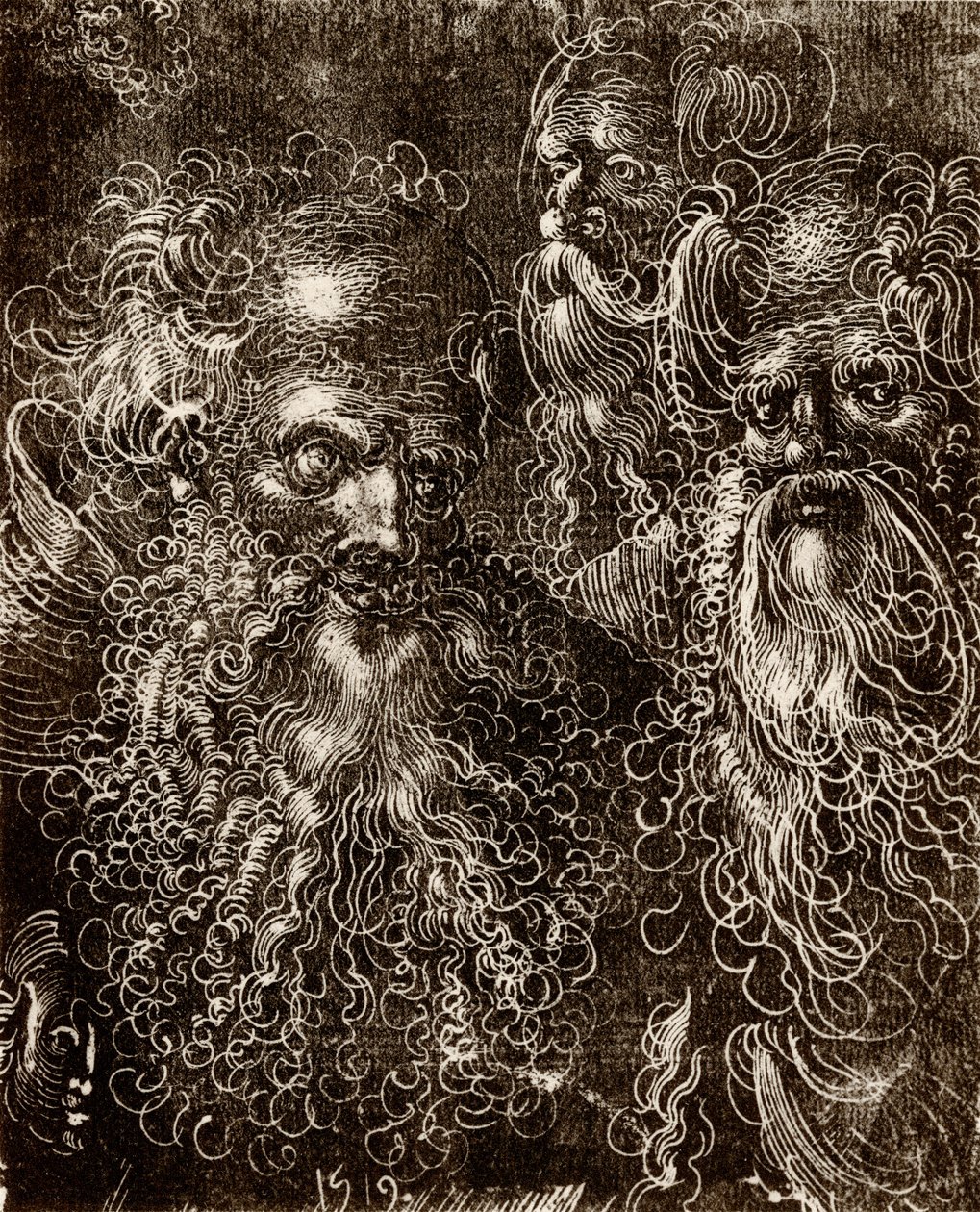 Varios estudios de cabezas de Lucas (school of) Cranach