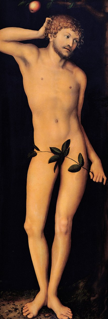 Adán de Lucas Cranach the Elder