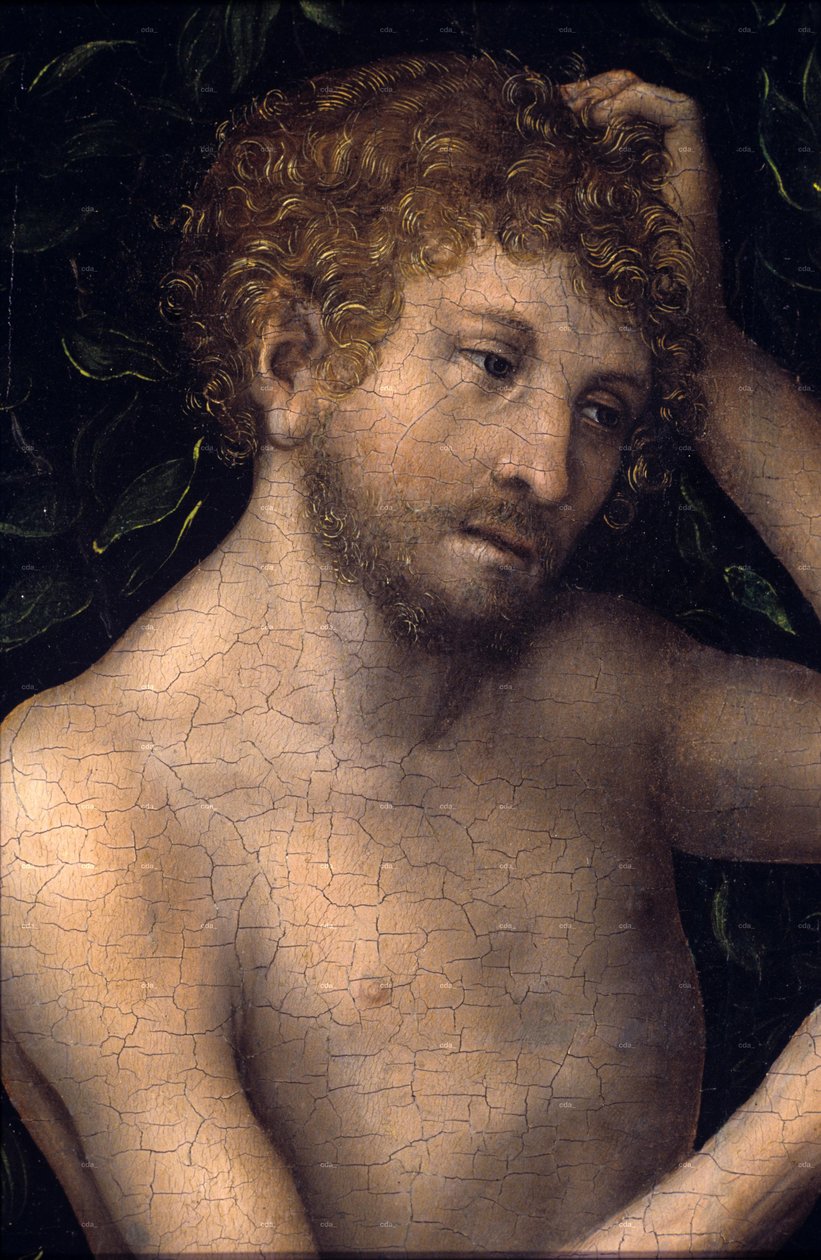 Adán y Eva








































 detalle de Lucas Cranach the Elder