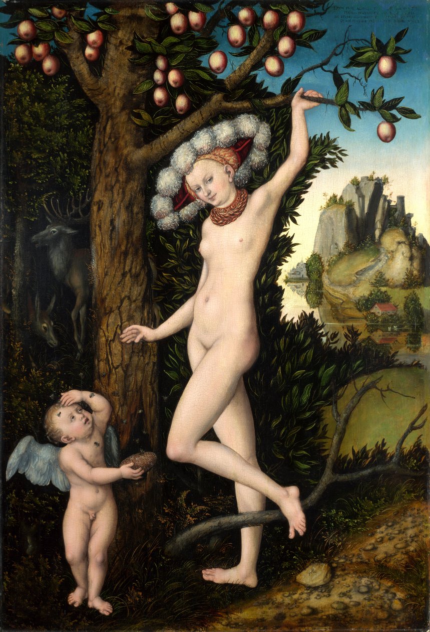 Amor se queja a Venus de Lucas Cranach the Elder