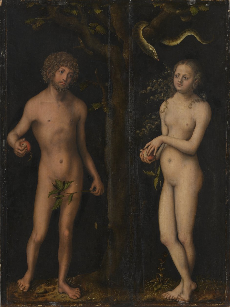 Alemán: Adam und Eva Adam and Eve de Lucas Cranach the Elder