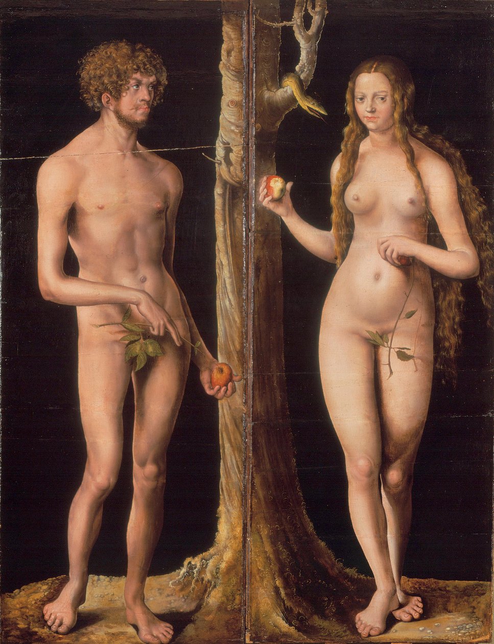 Alemán: Adam und Eva Adam and Eve de Lucas Cranach the Elder