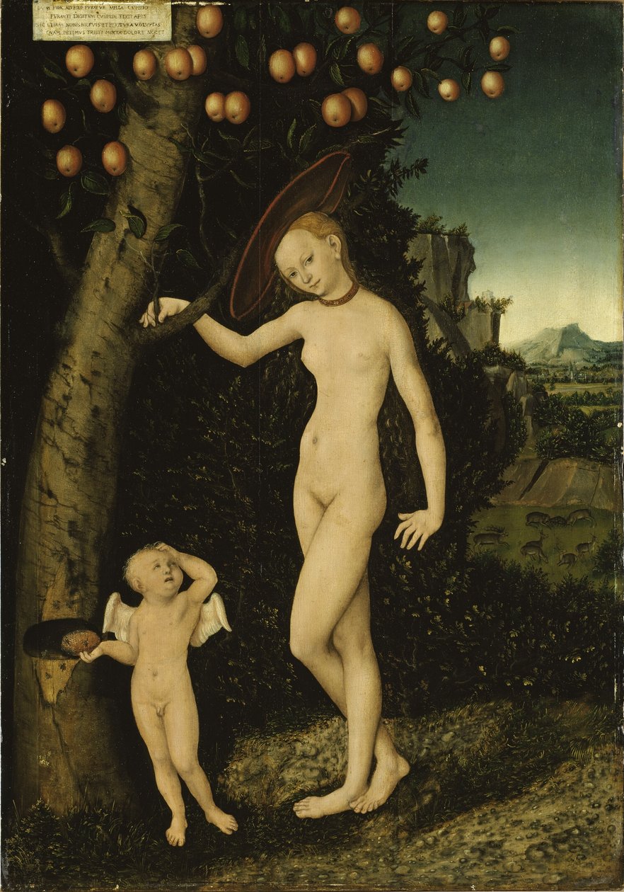 Alemán: Venus mit Amor als Honigdieb Venus y Cupido como ladrones de miel de Lucas Cranach the Elder