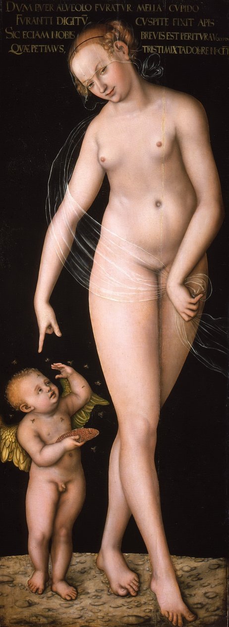 Alemán: Venus und Amor als Honigdieb Venus con Cupido robando miel de Lucas Cranach the Elder