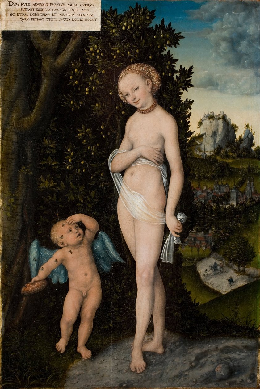 Venus y Cupido, el ladrón de miel de Lucas Cranach the Elder