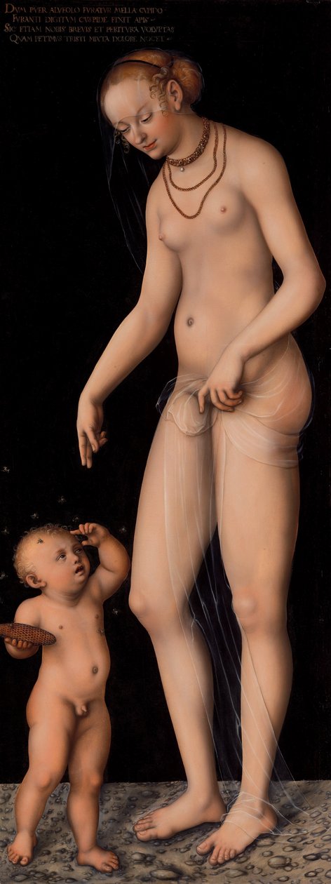 Venus con Cupido como ladrón de miel de Lucas Cranach the Elder