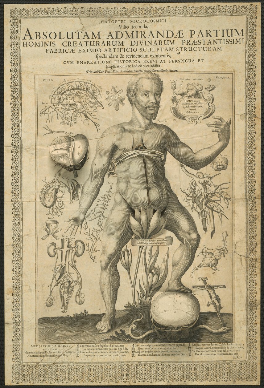 Segunda visión, de Espejos del microcosmos de Lucas Kilian