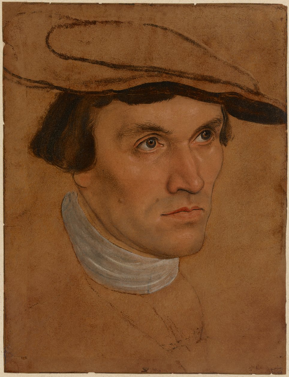 Retrato de hombre, c.1530 (óleo sobre papel) de Lucas the Elder Cranach