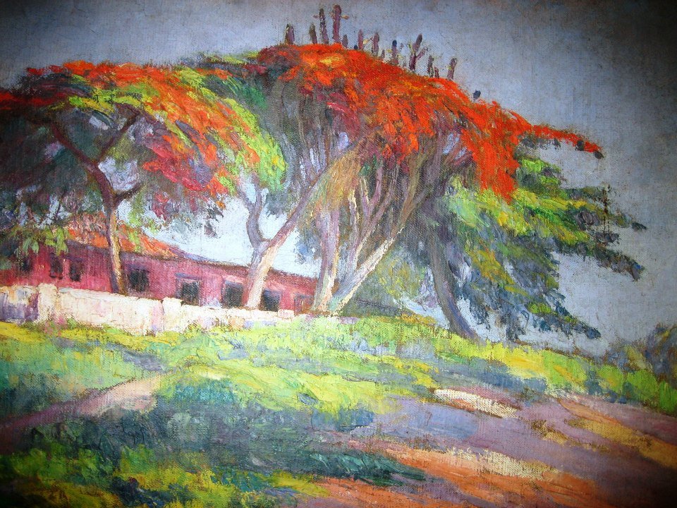 Flamboyantes de Lucilio de Albuquerque