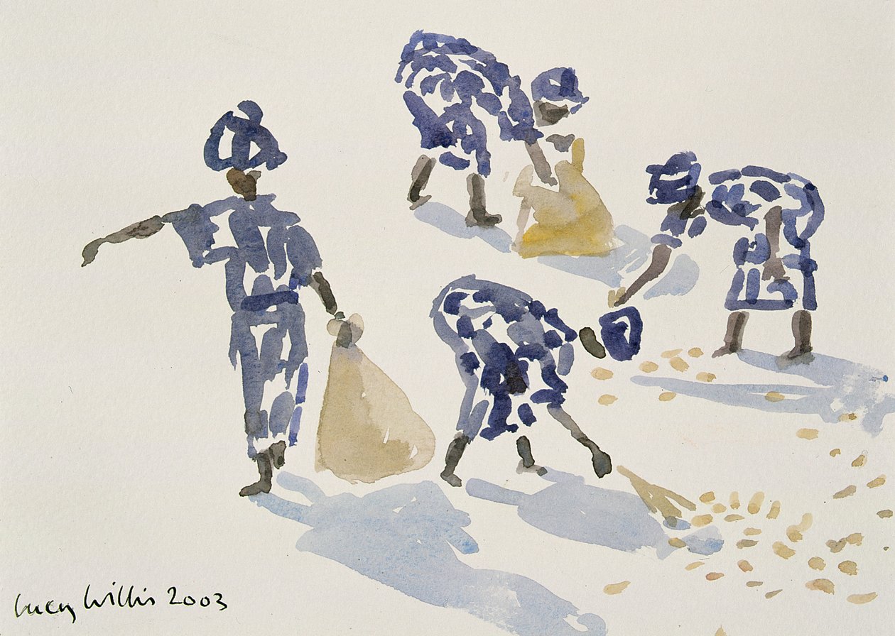 Limpiando hojas, Senegal, 2003 de Lucy Willis