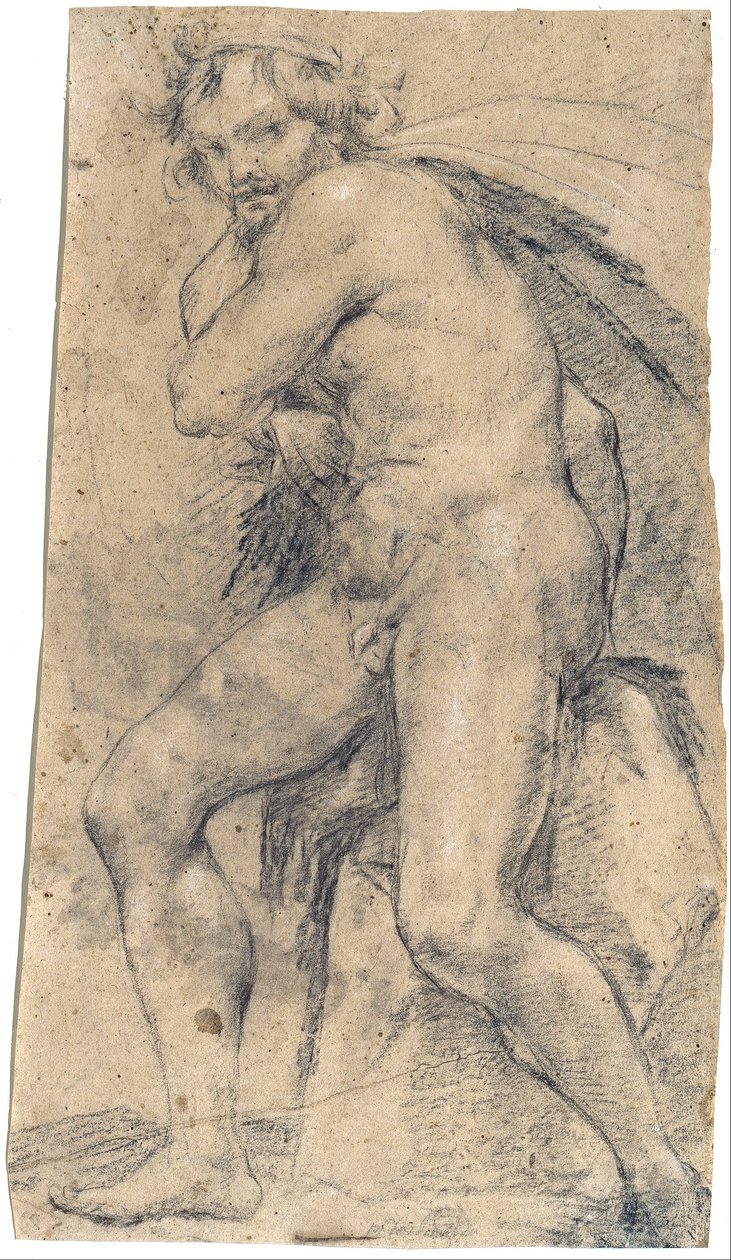 Desnudo masculino (¿Hércules) de Ludovico Carracci