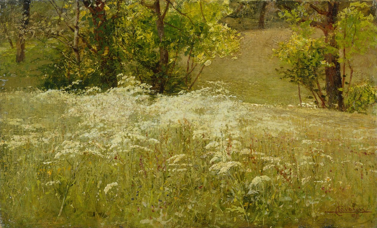 Perejil de vaca en un prado (óleo sobre lienzo) de Ludovico Cavaleri