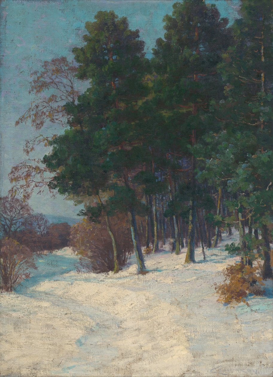 Bosque en invierno de Ludovit Cordak