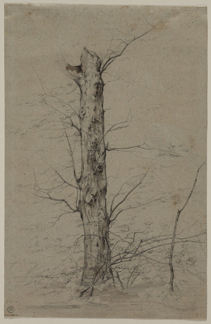 Árbol, c. 1835-45 de Ludwig Ferdinand Schnorr von Carolsfeld