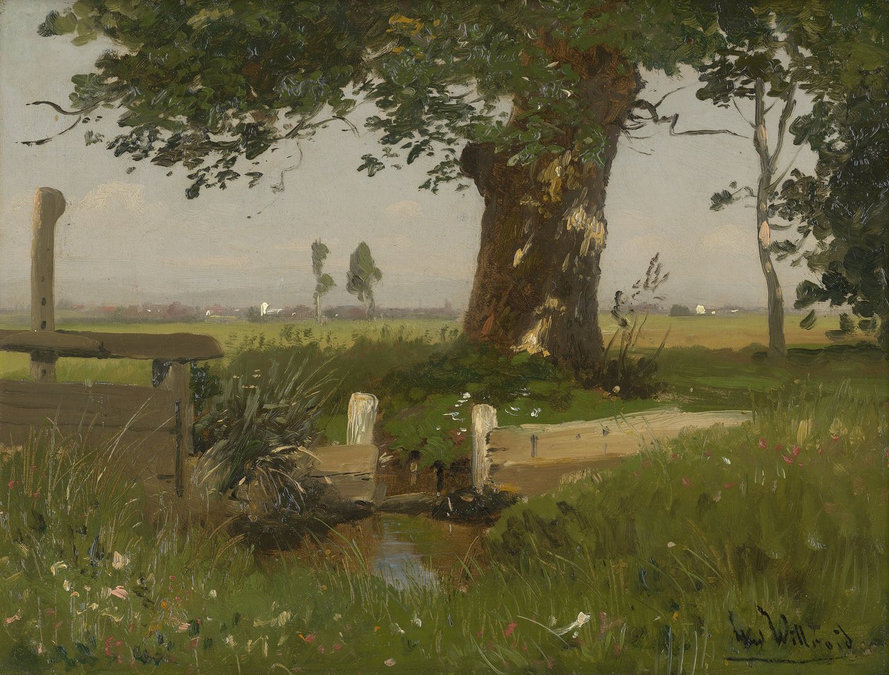 Veraniego paisaje de prados en Carintia de Ludwig Willroider