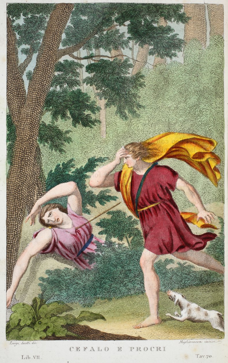 Céfalo y Procris o Cefalo e Procri, Libro VII, ilustración de las Metamorfosis de Ovidio, Florencia, 1832 de Luigi Ademollo