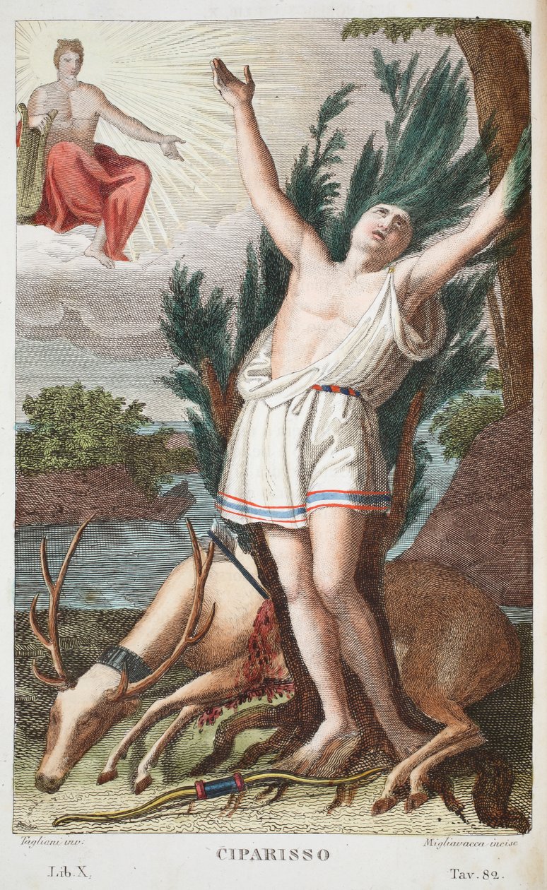 Cyparissus convertido en árbol o Ciparisso, Libro X, ilustración de las Metamorfosis de Ovidio, Florencia, 1832 (grabado coloreado a mano) de Luigi Ademollo
