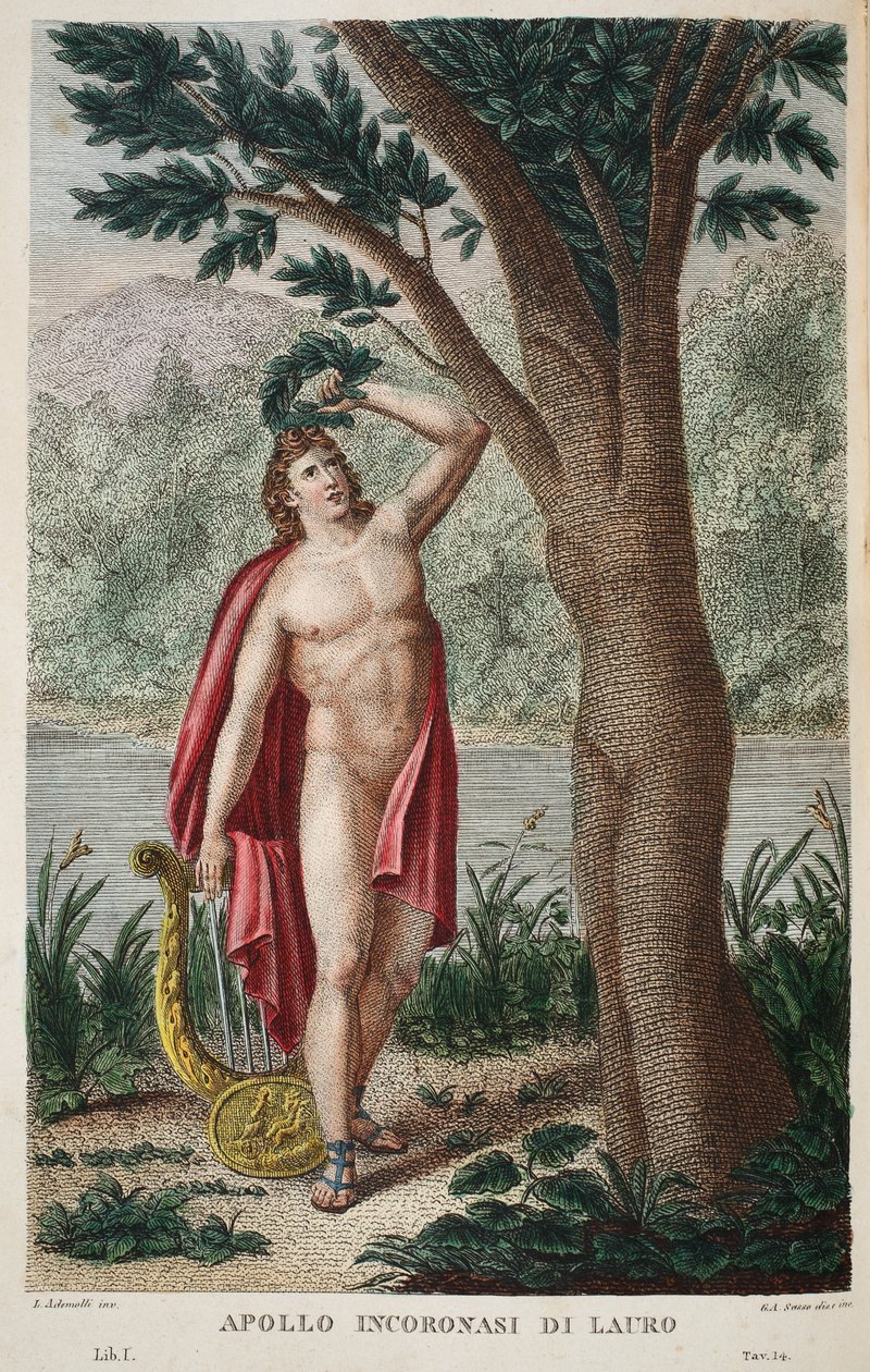 Dafne convertida en laurel o Apolo Incoronasi de Lauro, ilustración de las Metamorfosis de Ovidio, Florencia, 1832 de Luigi Ademollo