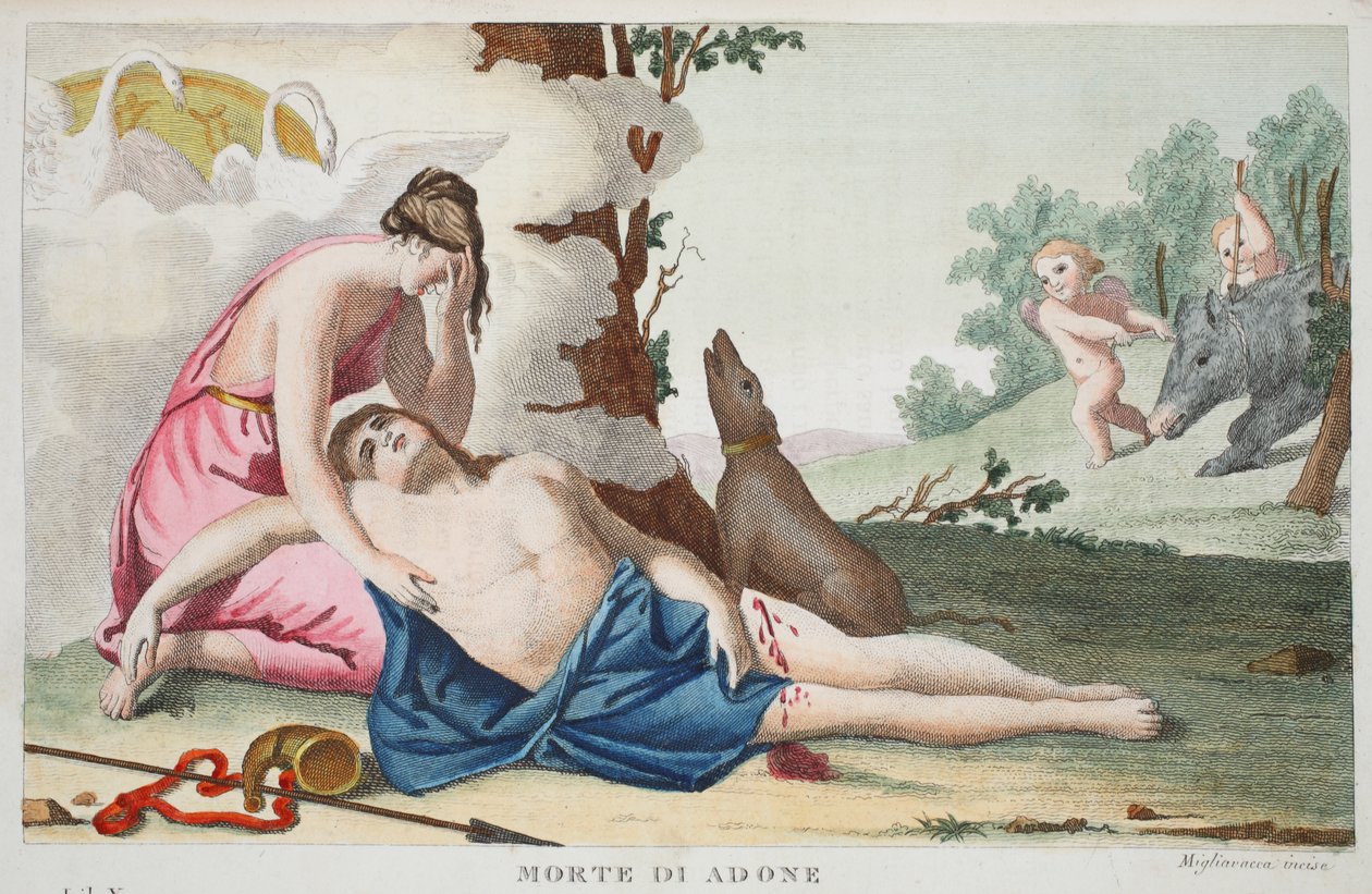 Muerte de Adonis, Libro X, ilustración de las Metamorfosis de Ovidio, Florencia, 1832 de Luigi Ademollo