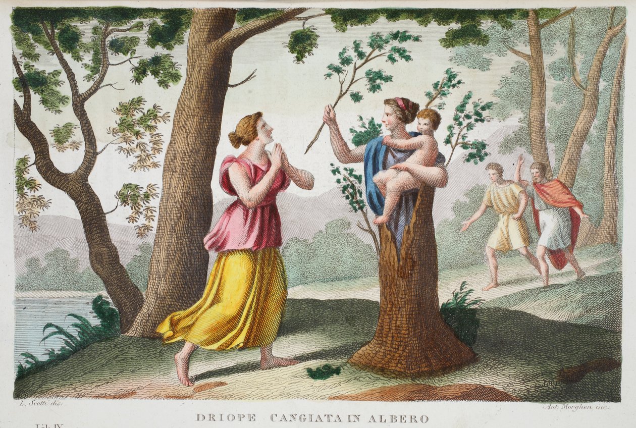 Dryope convertida en árbol, Libro IX, ilustración de las Metamorfosis de Ovidio, Florencia, 1832 de Luigi Ademollo