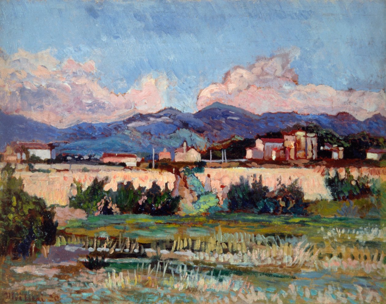 Casas y jardines en Ardenza, por Ulvi Liegi (1858-1939) de Luigi Levi