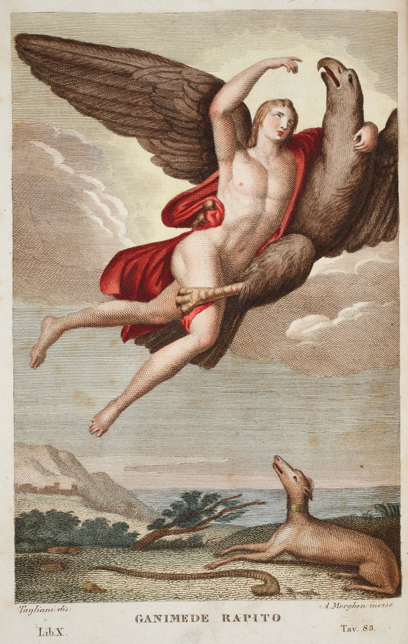 Ganimedes llevado al cielo o Ganimede Rapito, Libro X, ilustración de 