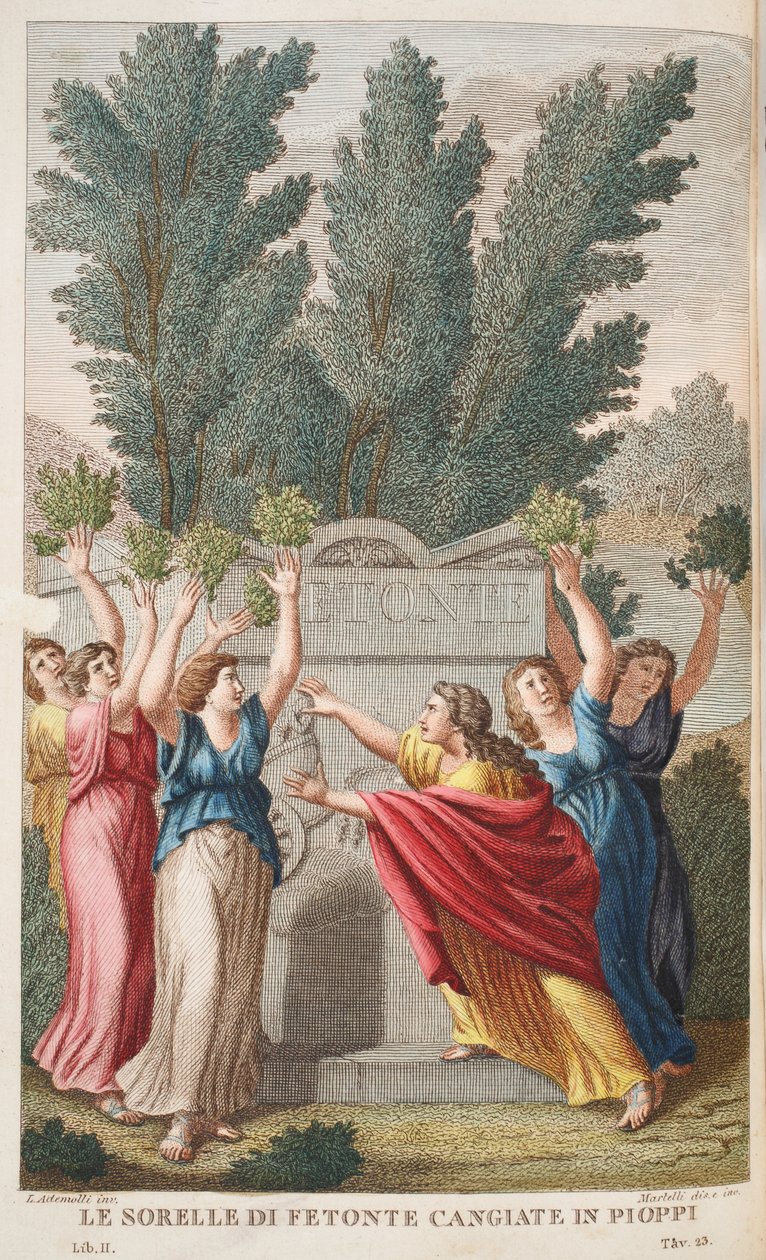 Las Helíades convertidas en árboles que producen ámbar, ilustración de las Metamorfosis de Ovidio, Florencia, 1832 de Luigi Ademollo