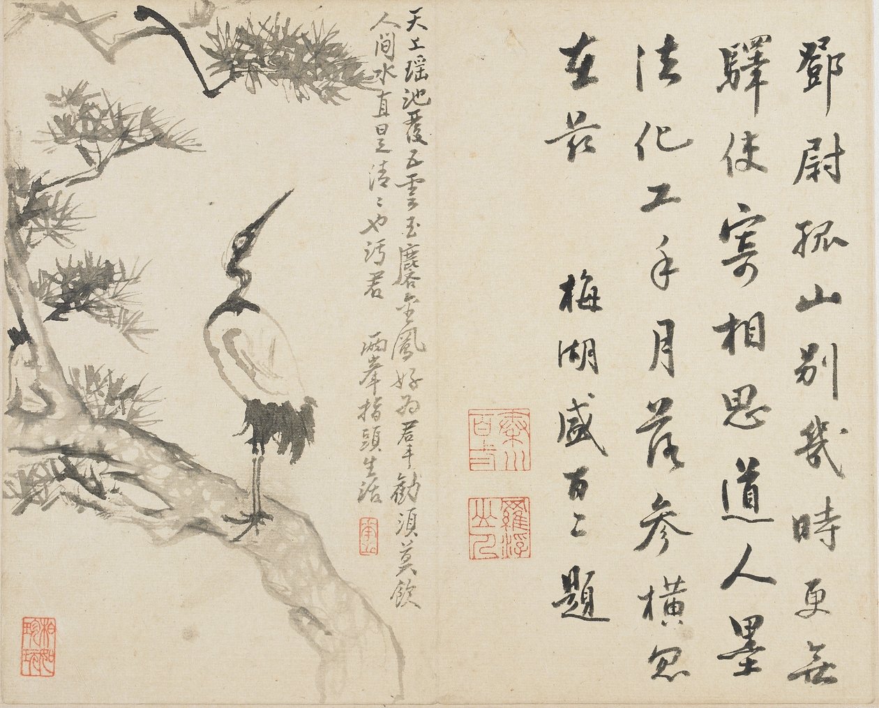 Paisajes, flores y aves: Grulla en pino, Dinastía Qing, 1780 de Luo Ping