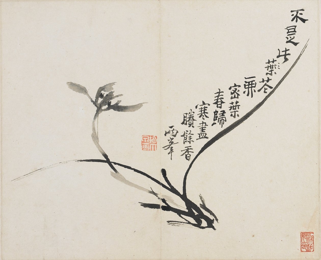 Paisajes, flores y aves: Orquídea, Dinastía Qing, 1780 de Luo Ping
