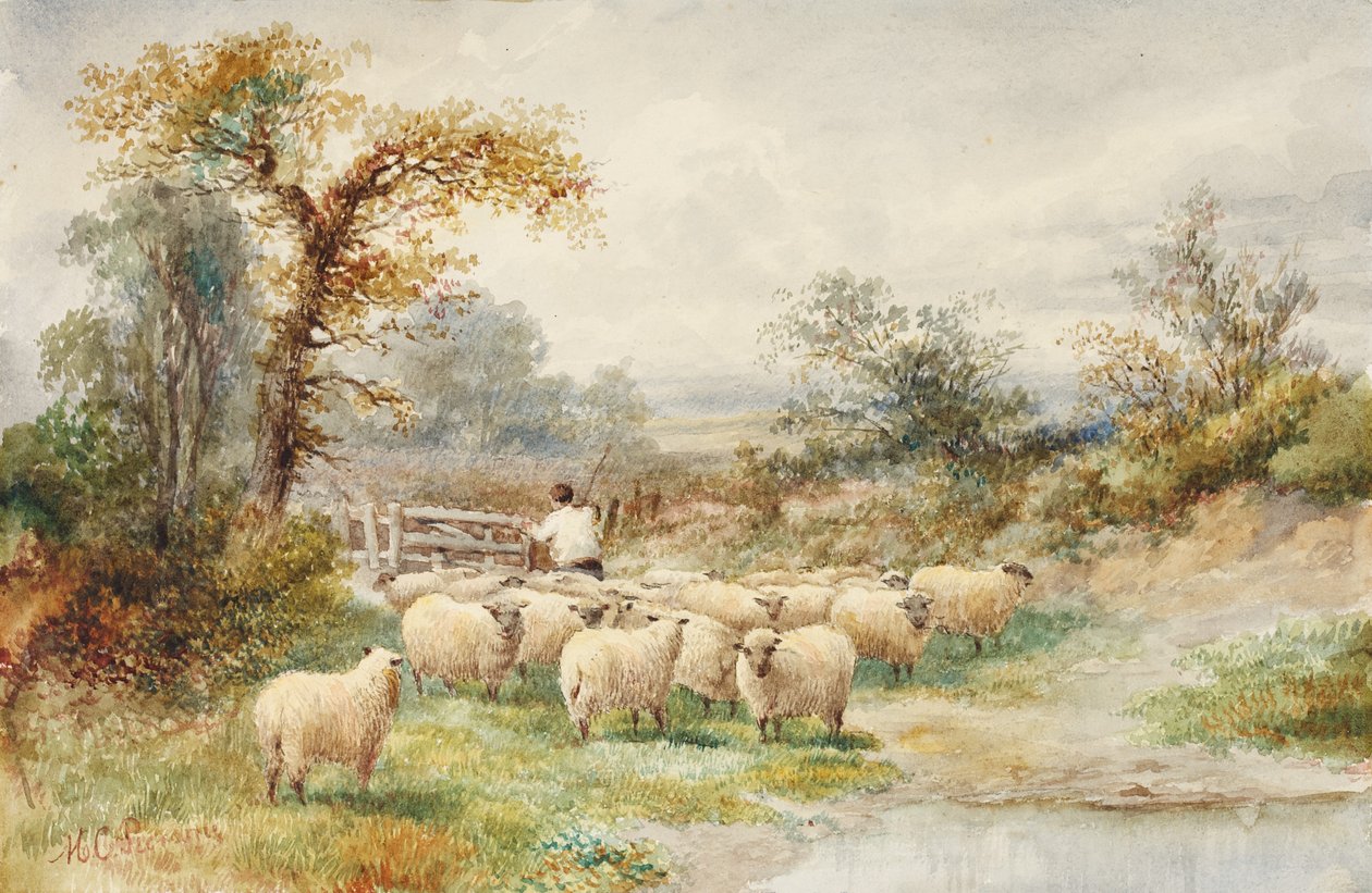Paisaje y ovejas de M.C. Parsons