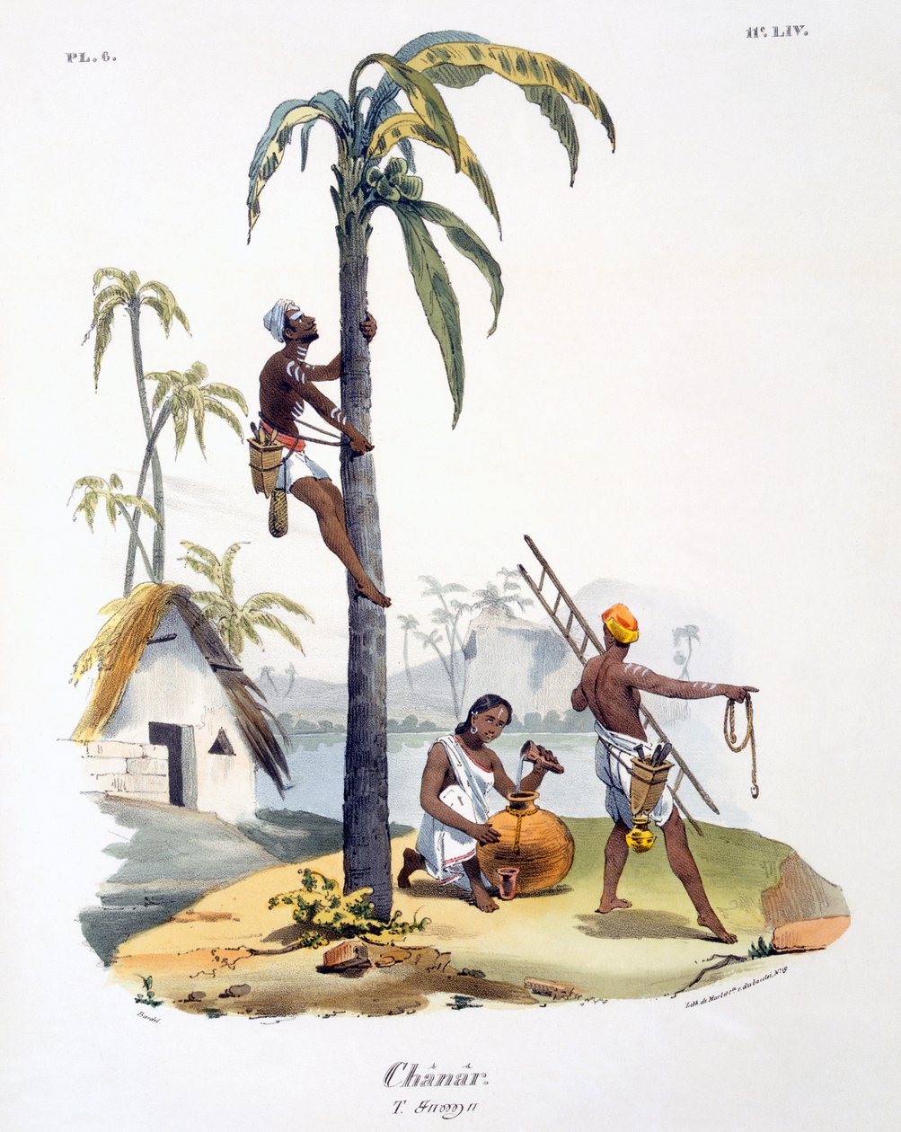 Un hombre de la casta Nadar trepando a una palmera, 1827-35 de M.E. Burnouf