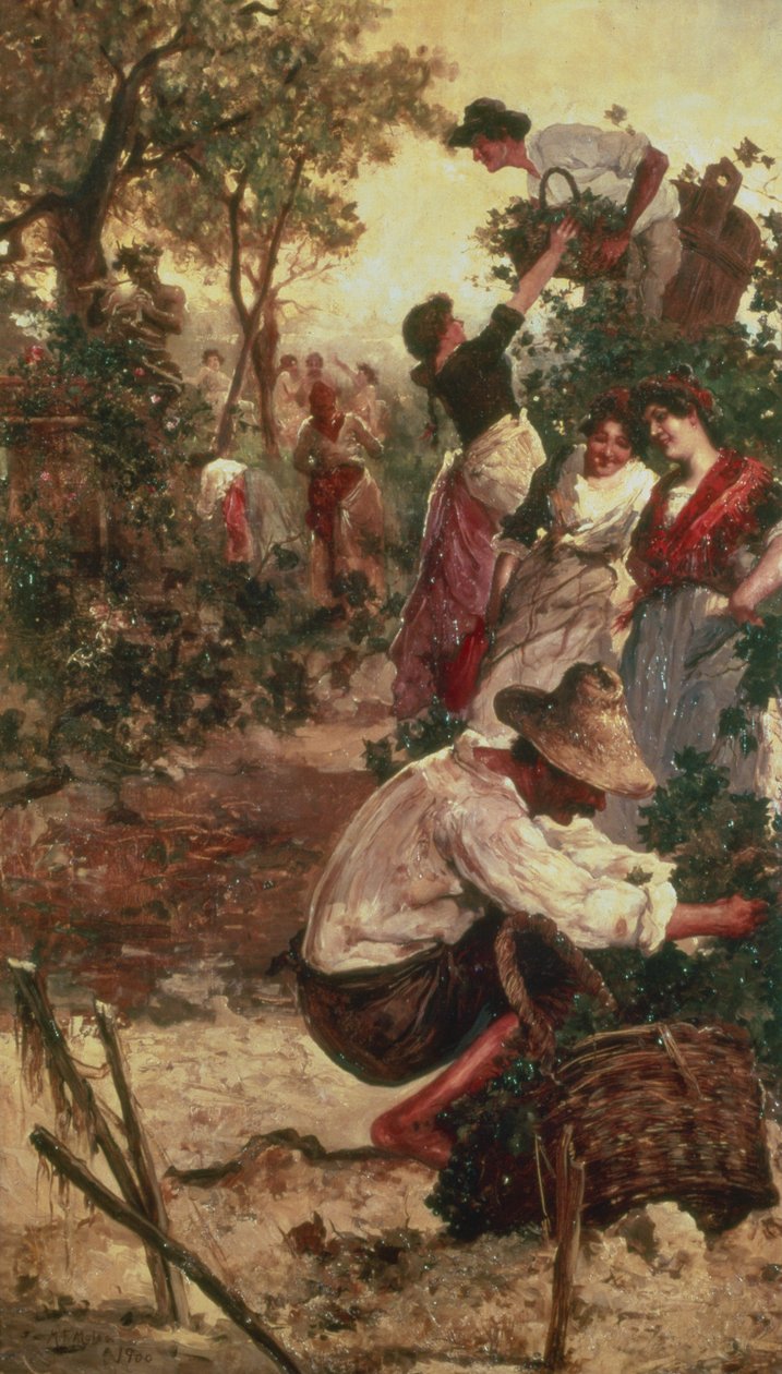 La vendimia de M.F. Moles