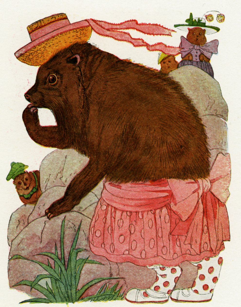 Conejo, 1913 de Martin Ross