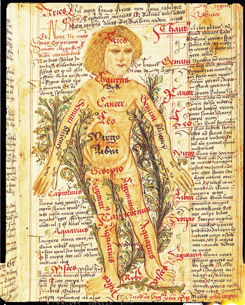 Influencia de las estrellas en las enfermedades del cuerpo humano, de Tractatus de Pestilencia de M, Albik