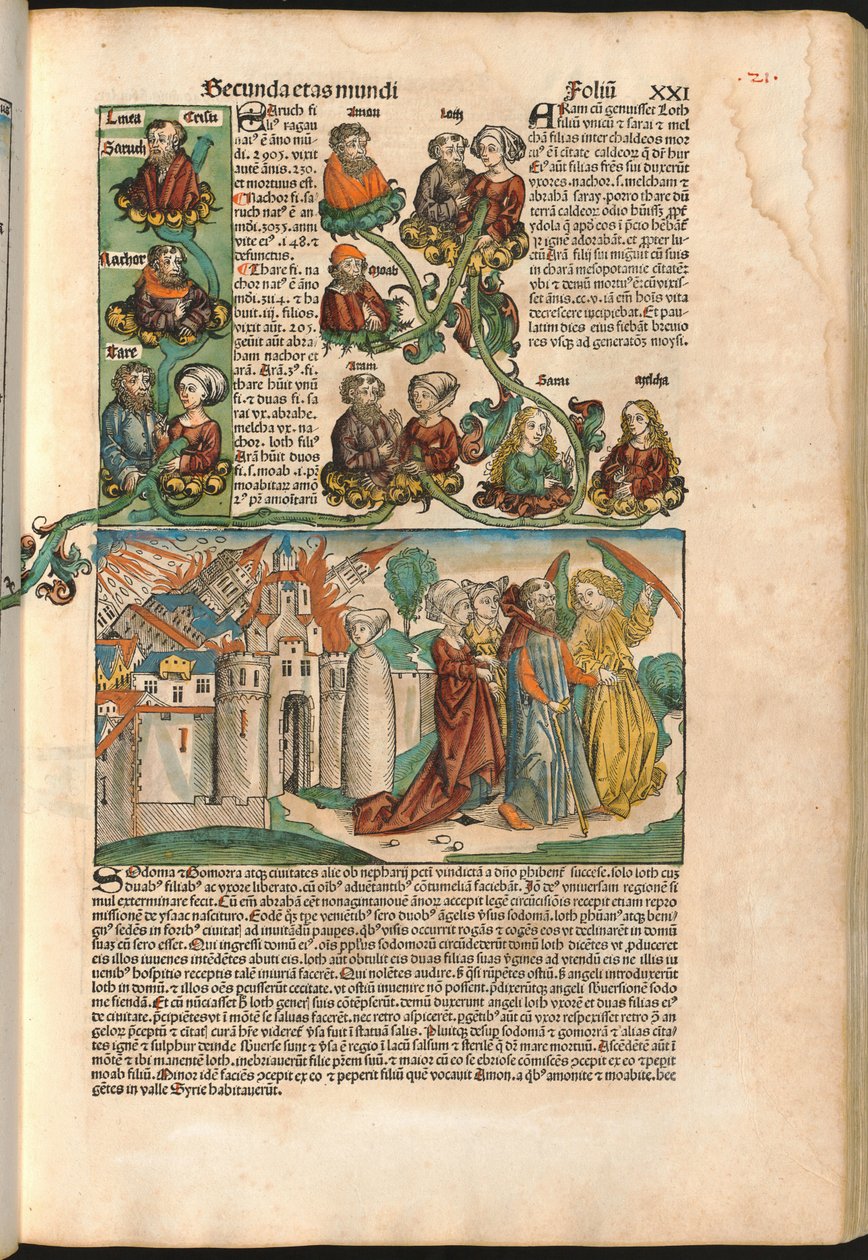 Árbol genealógico de Labán, extraído de la Crónica de Núremberg de Hartmann Schedel (1440-1514) impresa en 1493 (xilografía) de M. and Pleydenwurff W. Wolgemuth