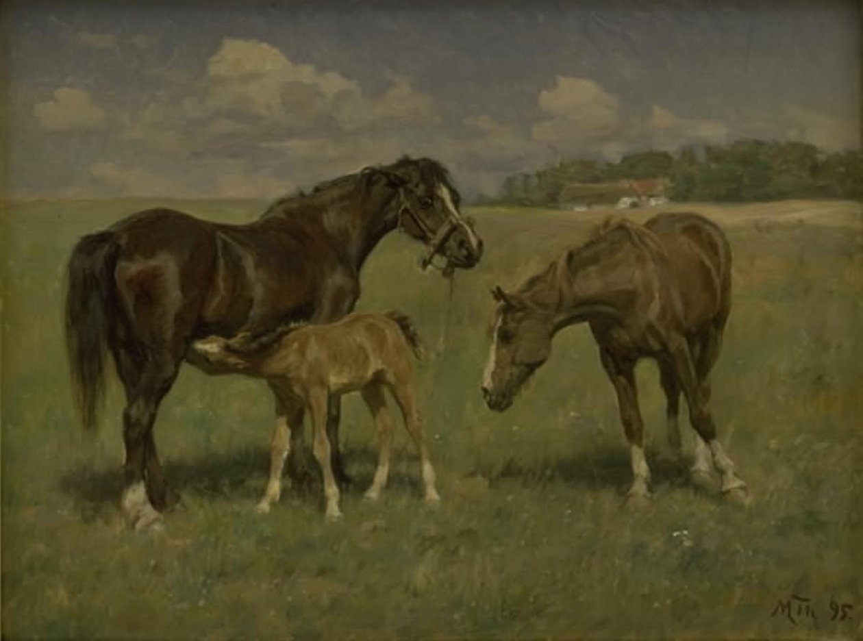Tres caballos en un campo de M. Therkildsen