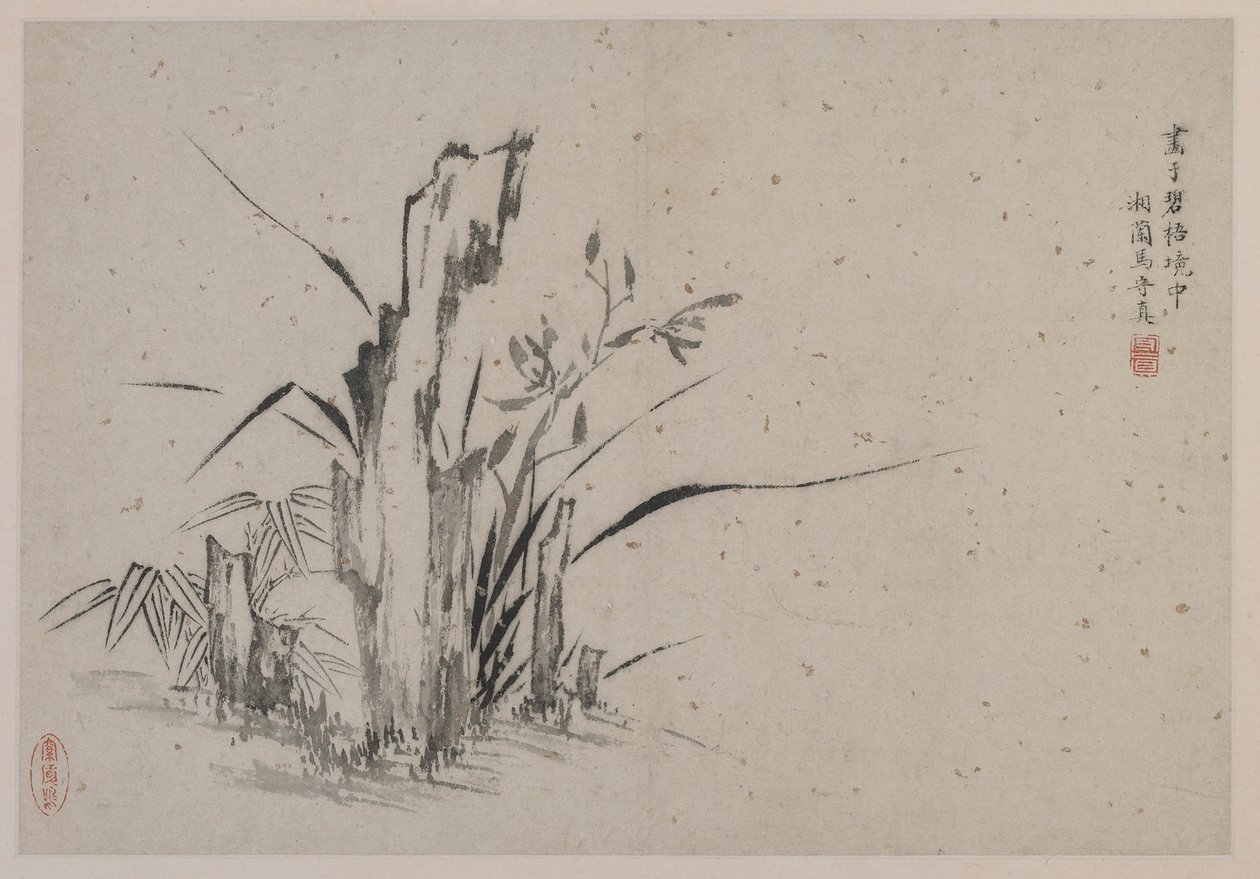 Rocas, orquídeas y bambú, dinastía Ming de Ma Shouzhen