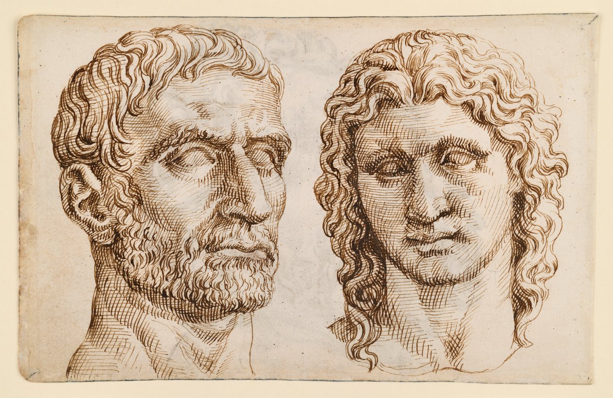 Cabeza de un hombre mayor, cabeza de un joven de Maarten van Heemskerck