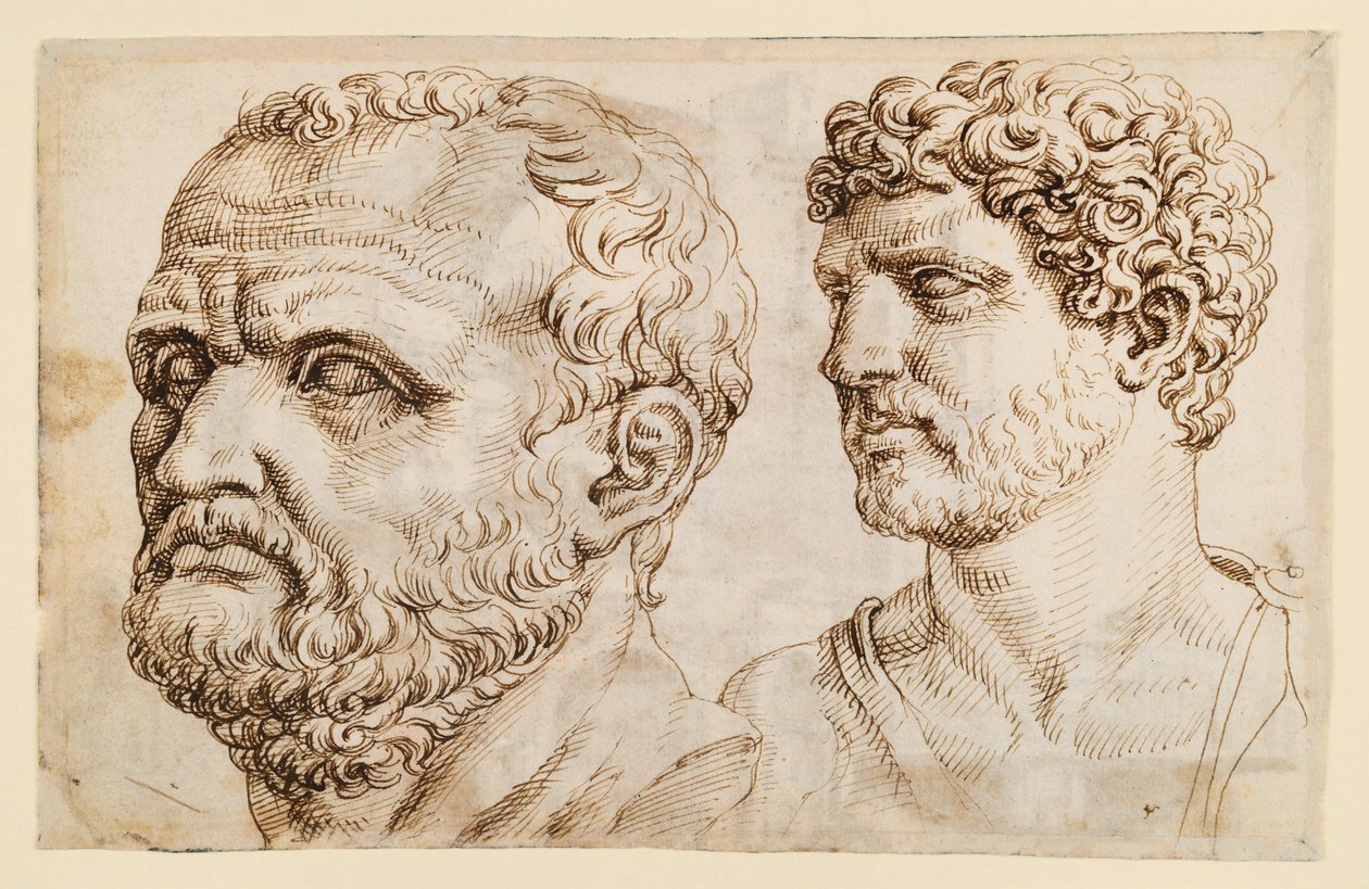 Dos cabezas de estatuas antiguas de Maarten van Heemskerck