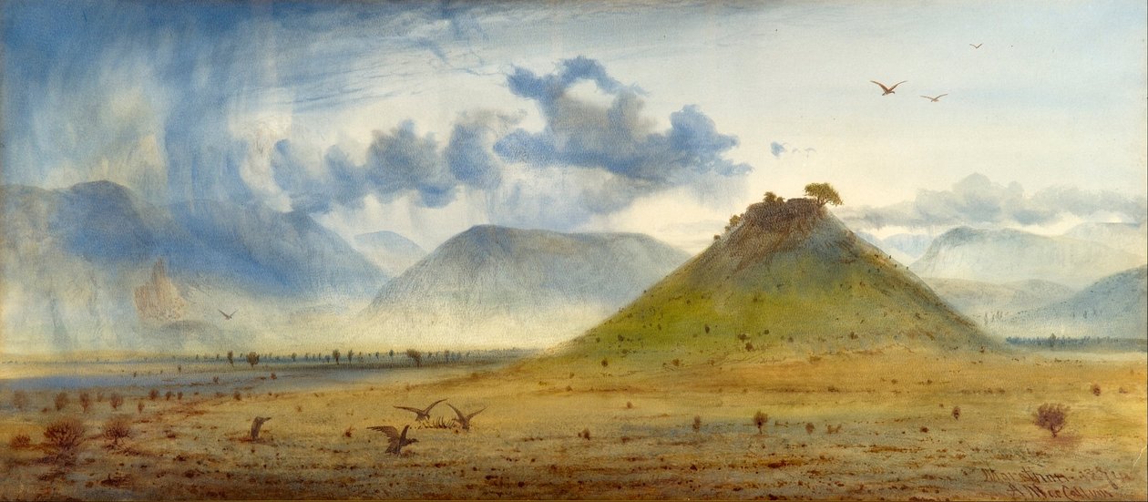 Vista de Maratón de Andrew MacCallum